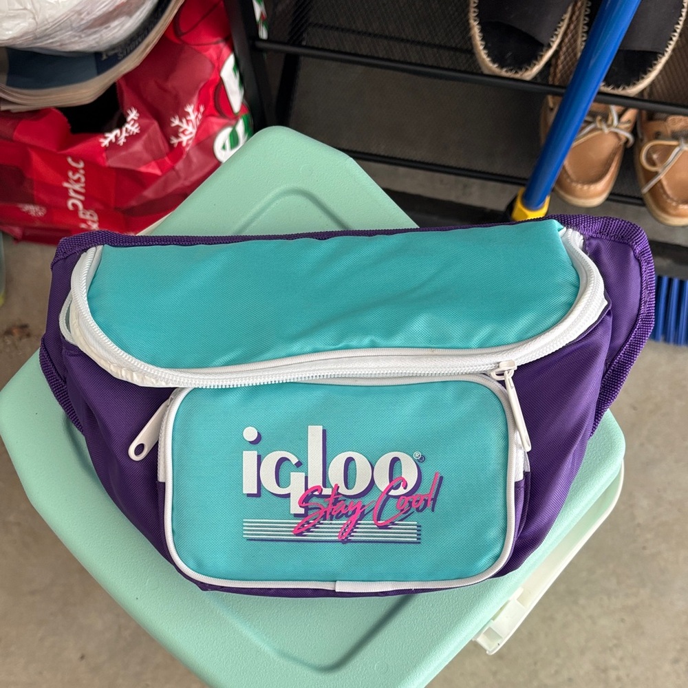 Igloo Teal and Purple Hip Pack